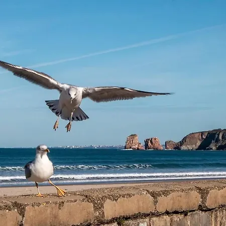 Croisieres Hendaye